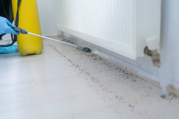 Trusted Hinton, WV Pest Control Experts