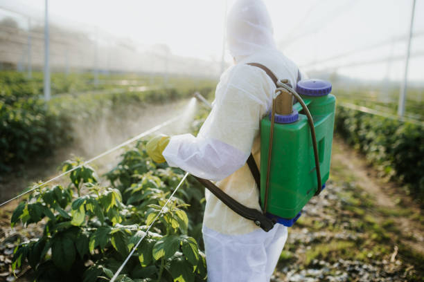 Best Best Pest Control Companies  in Hinton, WV